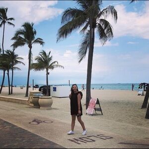 Zara Embroided dress